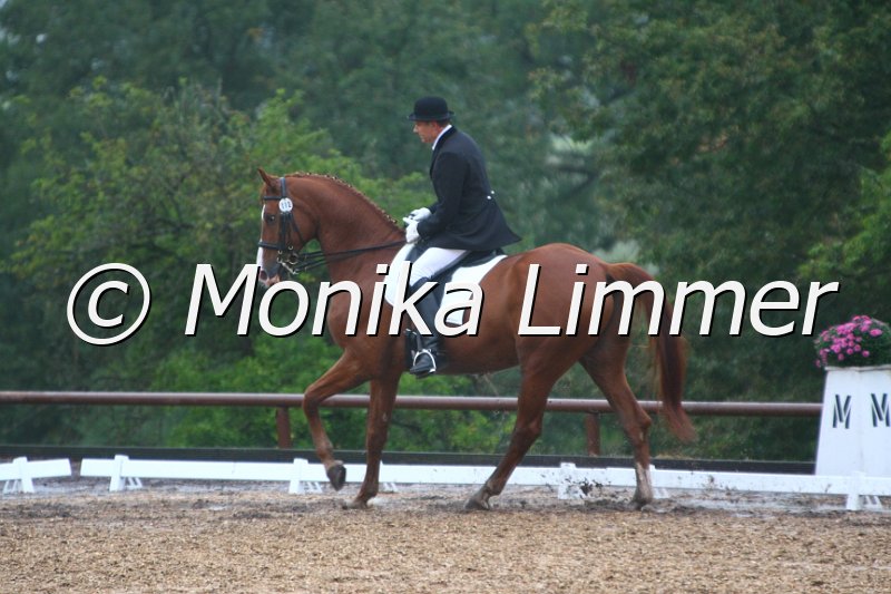 109M2965_Pole Position_Dressur_M.JPG